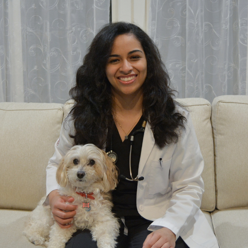 Dr. Marissa Lizama